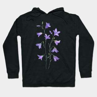 purple harebell wildflower watercolor Hoodie